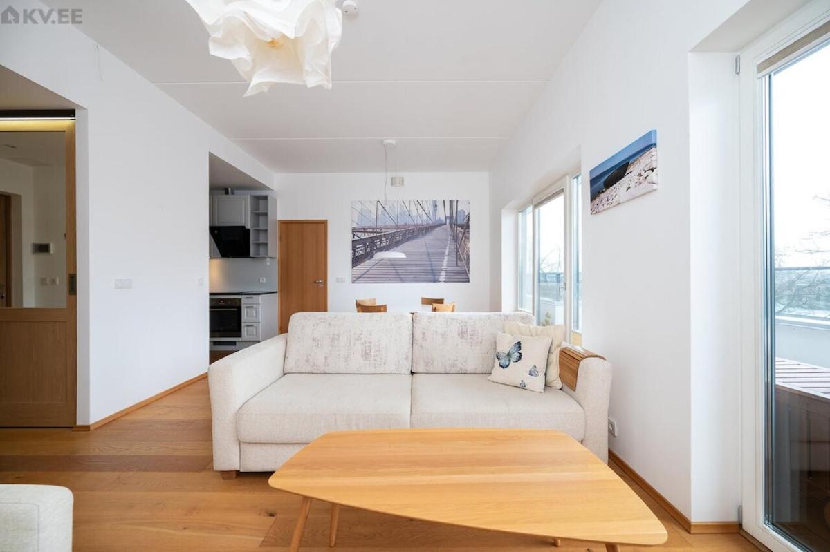 Leilighet Penthouse In Centre *